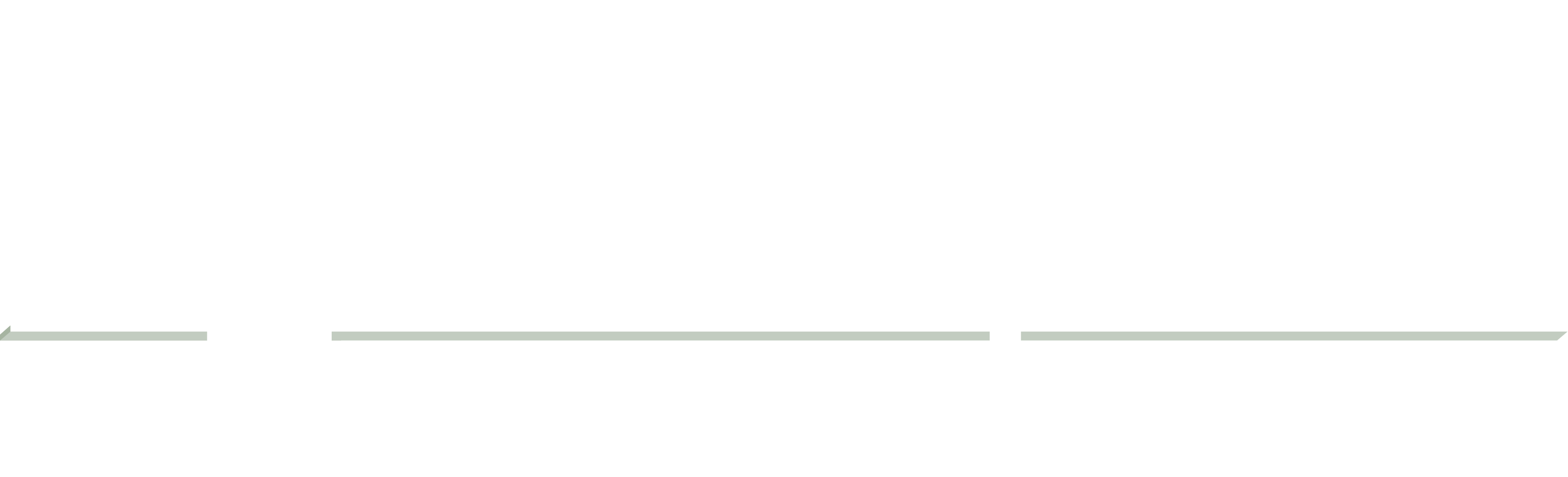 Slagel Enterprises new logo white 300dpi